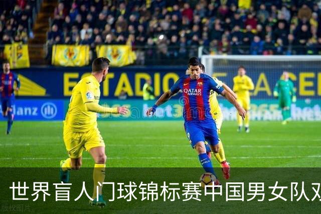 世界盲人门球锦标赛中国男女队双双夺冠
